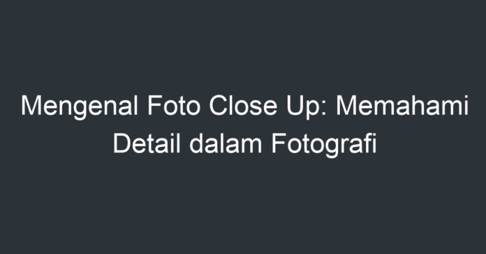 Mengenal Foto Close Up: Memahami Detail Dalam Fotografi - Artikel ...