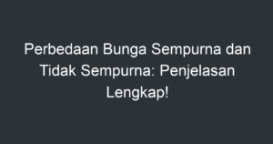 Perbedaan Bunga Sempurna Dan Tidak Sempurna: Penjelasan Lengkap ...