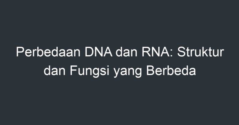 Perbedaan DNA Dan RNA: Struktur Dan Fungsi Yang Berbeda - Artikel ...